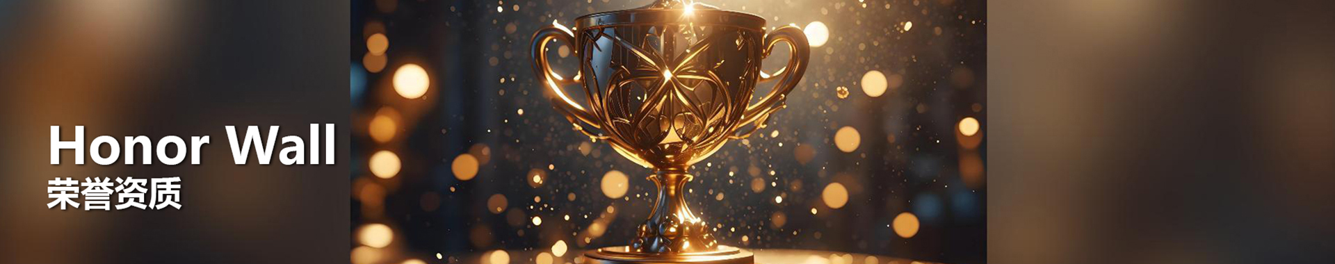 荣誉资质